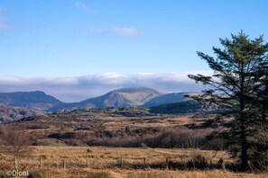 Imagen sin descripción, 3 de 35, botón