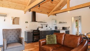 Une cuisine moderne avec des meubles de couleur sombre, une cuisinière et un four à micro-ondes. Le salon est doté d’un canapé en cuir marron agrémenté d’un coussin vert.