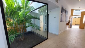 A modern interior with a glass partition, a potted plant, and a wooden floor. - Cachito de Cielo (La Victoria de Acentejo)