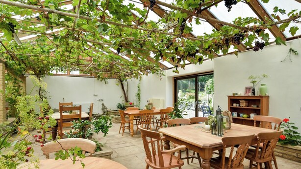 Eine überdachte Terrasse mit Holztischen und -stühlen, umgeben von Grünpflanzen und einem Pergola mit Weintrauben.