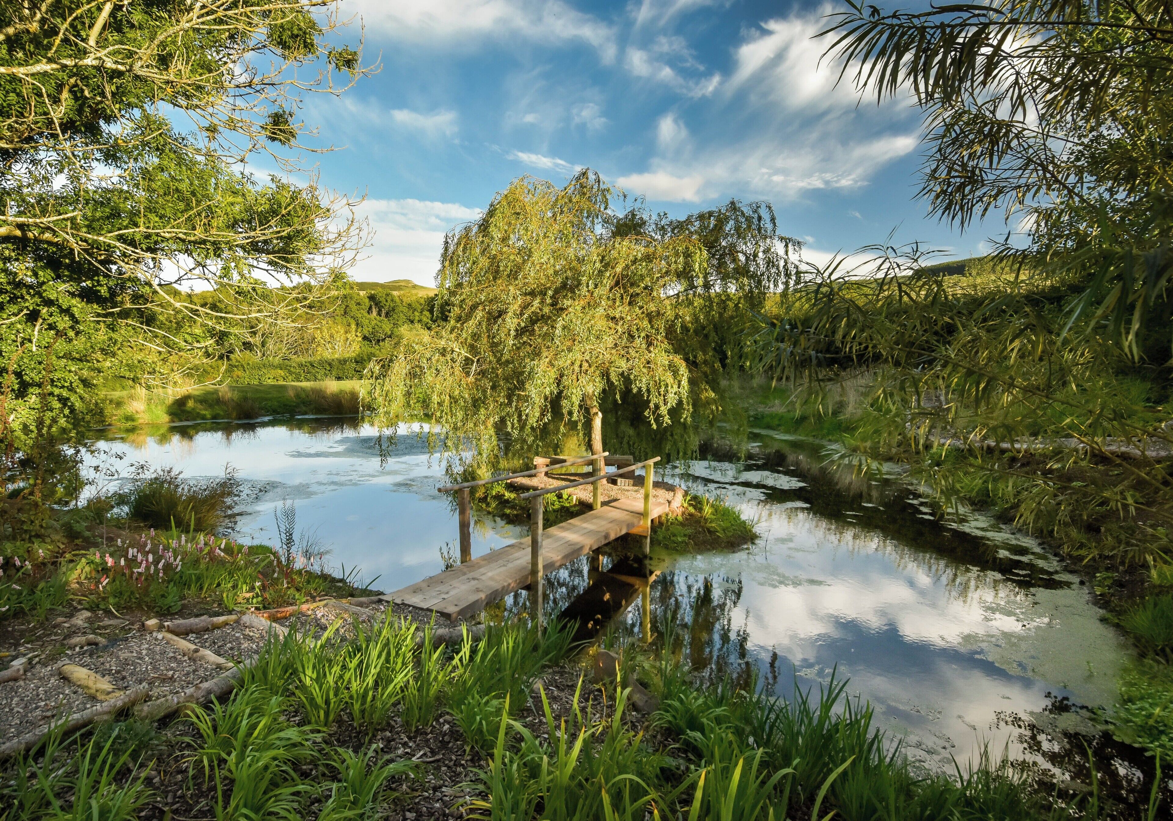 A wooden bridge over a calm river, surrounded by lush greenery and trees.