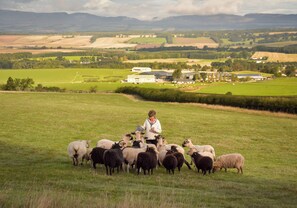 Botó d’imatge sense classificar, 2 de 29