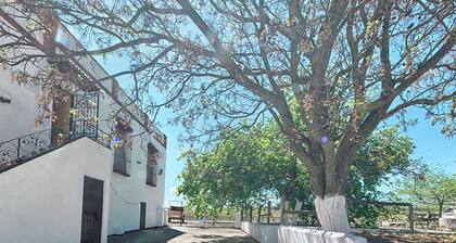 Traditional Andalusian Farmhouse Near Cordoba