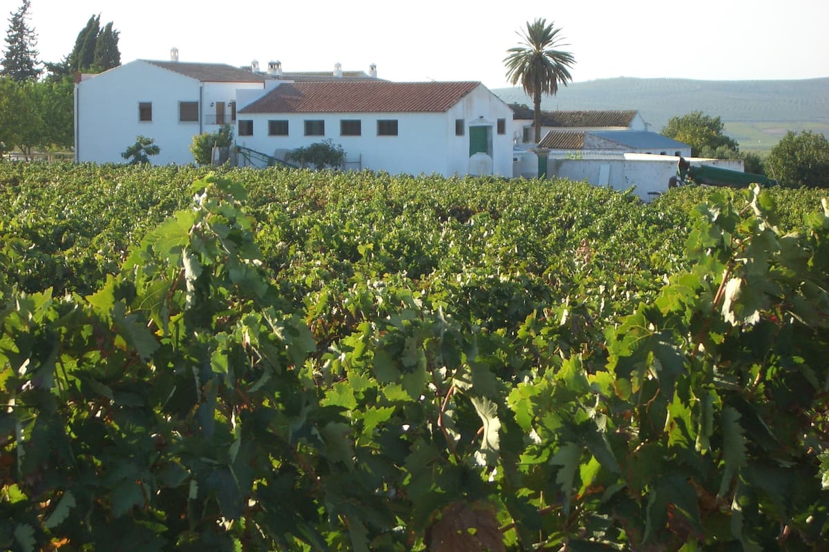 獨棟房屋 | 其他設施