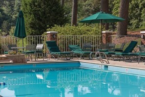 Pool - Cozy 1 bedroom condo in Williamsburg, Virginia! (Williamsburg)