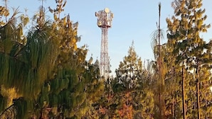 Una torre de telecomunicaciones rodeada de un bosque frondoso.
