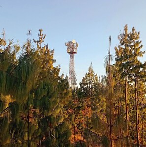 Unclassified image, 2 of 19, button - Peaceful campground in Thapathali perfect for outdoor lovers (Thapathali)