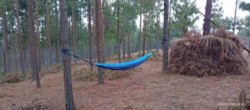 Delightful campground in Thapathali perfect for outdoor lovers