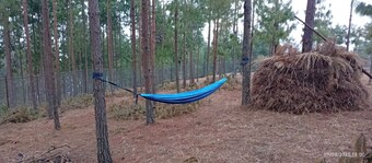 Delightful campground in Thapathali perfect for outdoor lovers