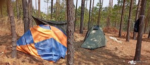 Unclassified image, 2 of 19, button - Serene campground in Thapathali perfect for outdoor lovers (Thapathali)