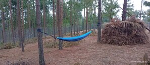 Unclassified image, 3 of 19, button - Enjoyable campground retreat in Thapathali perfect for nature lovers (Thapathali)