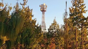 A telecommunications tower surrounded by dense forest. - Awesome campground in Thapathali perfect for outdoor lovers (Thapathali)