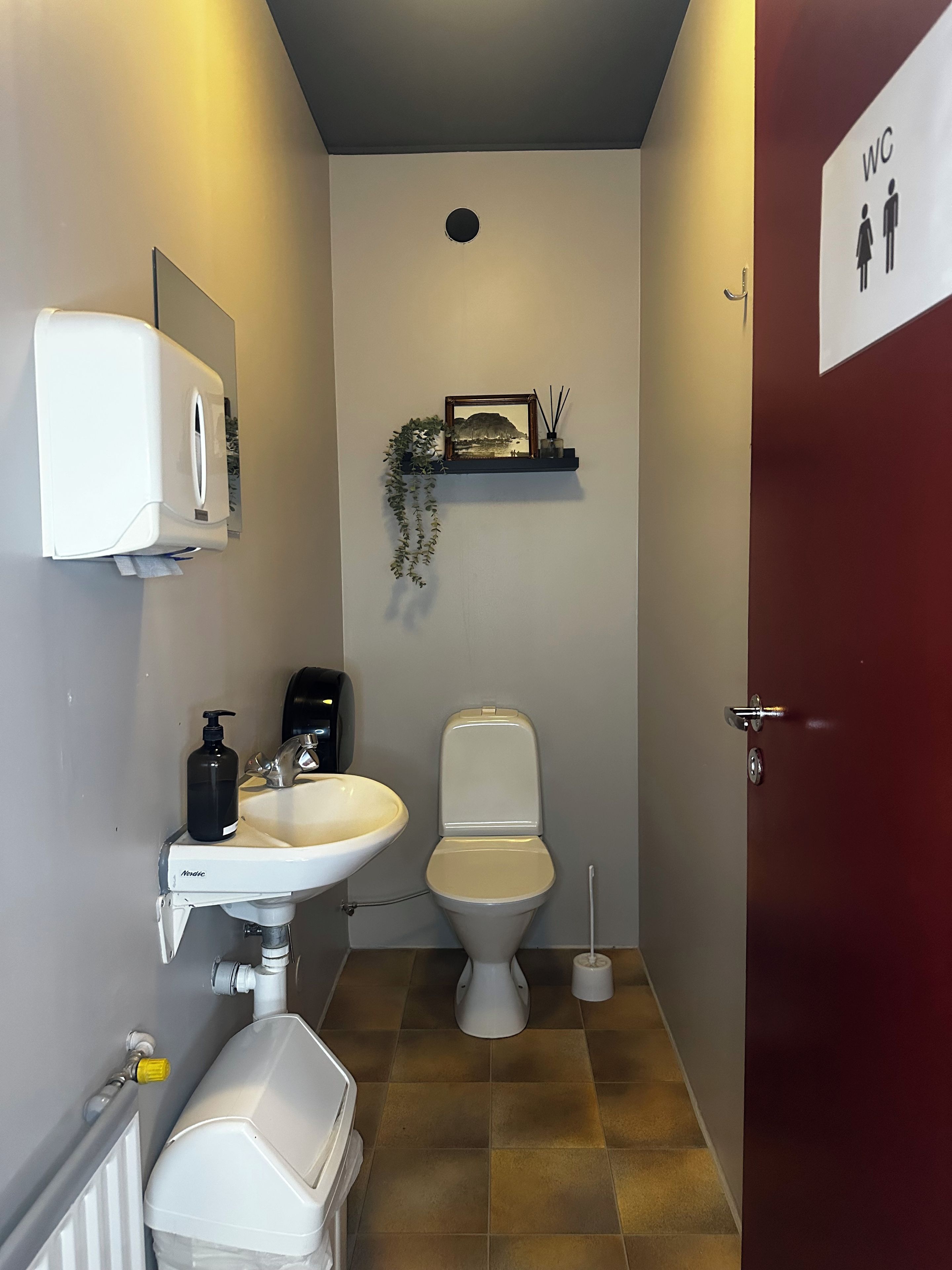 Ein Badezimmer mit Toilette, Waschbecken, Handtrockner und einem kleinen Regal mit Bilderrahmen und Pflanzen.