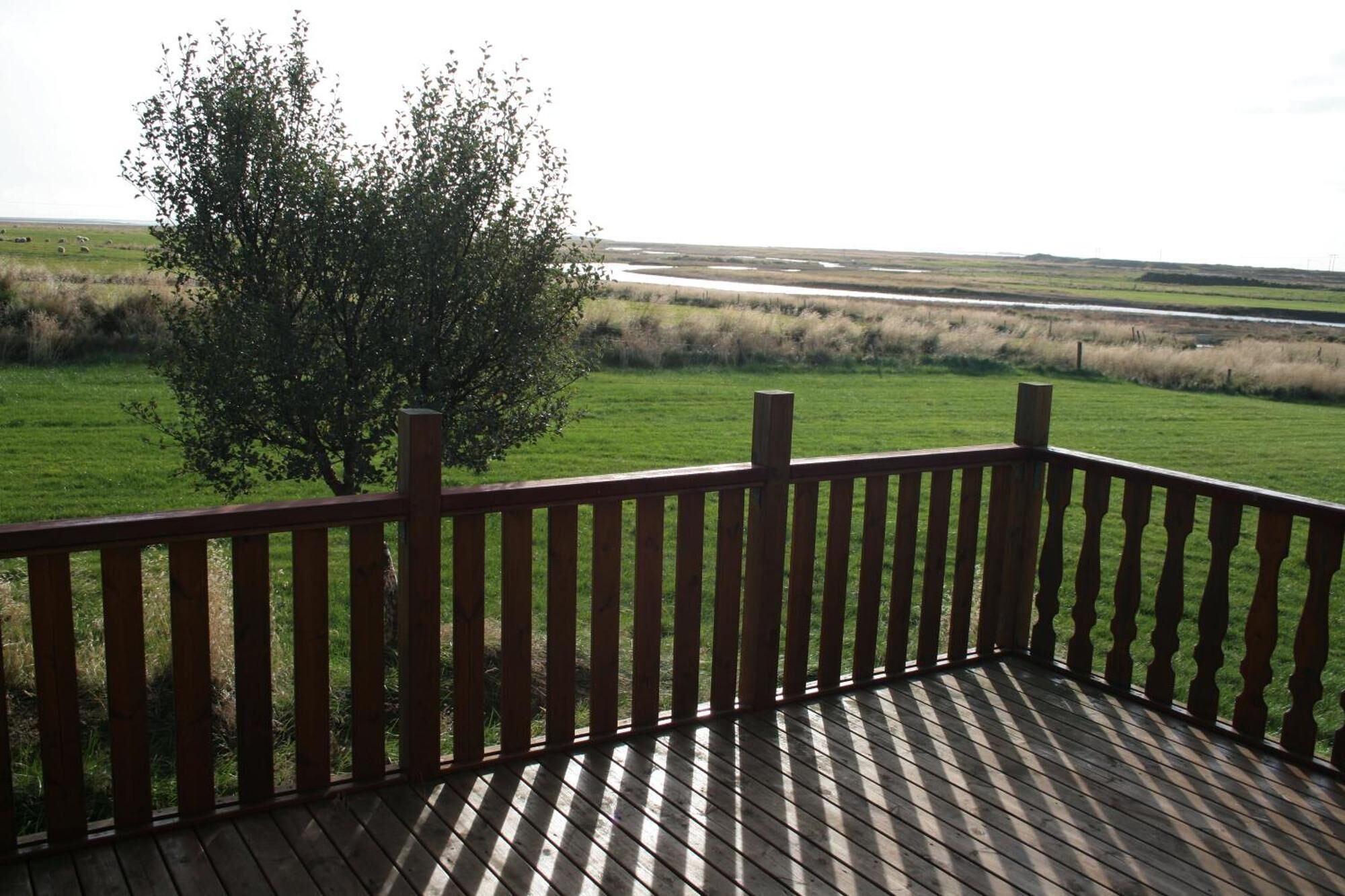 واجهة المنشأة