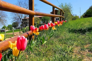 Áreas de la propiedad