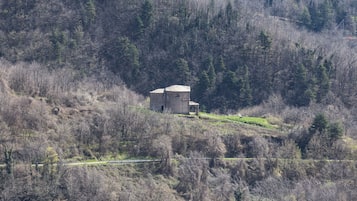 A solitary stone building on a hill surrounded by dense forest.