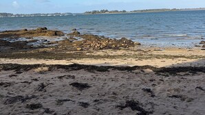 Una playa con afloramientos rocosos y agua tranquila.