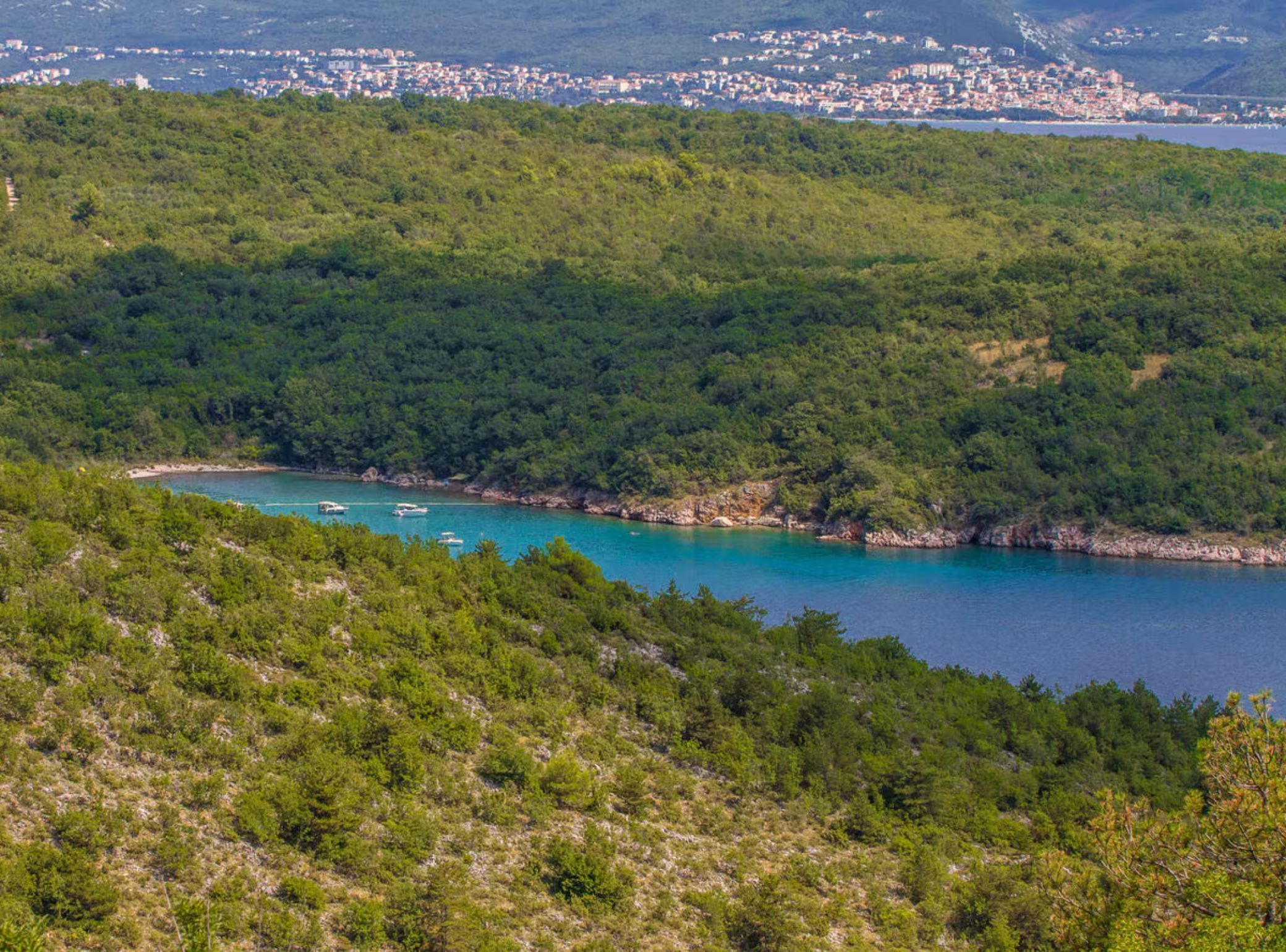 A coastal landscape with dense greenery and a clear turquoise sea.
