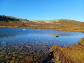 Cabin, 4 Bedrooms, Balcony, Garden View | Miscellaneous