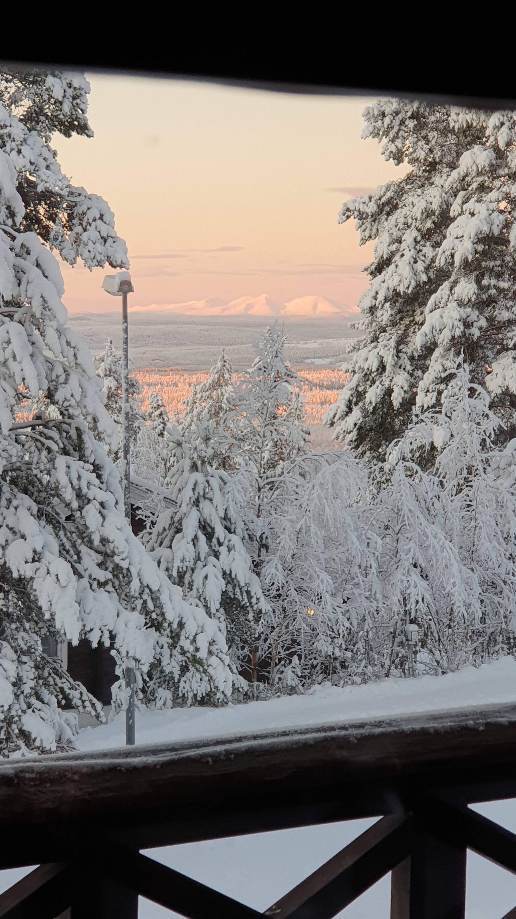 Un paysage enneigé avec des arbres et une vue lointaine sur des montagnes.