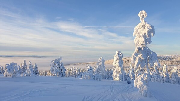 Cabin, 4 Bedrooms, Balcony, Garden View