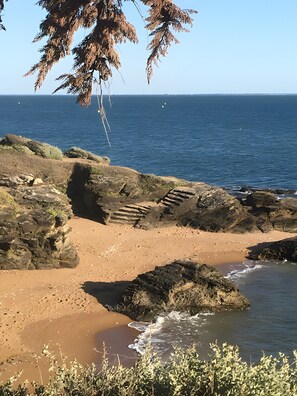 Immagine non classificata, 4 di 16, pulsante