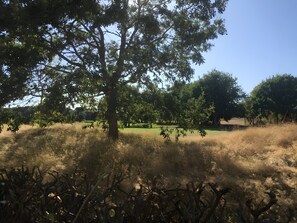 Immagine non classificata, 2 di 16, pulsante