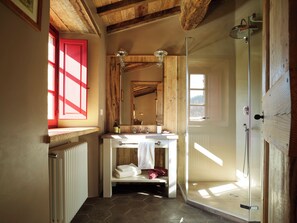 Shower, hair dryer, bidet, towels