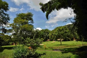 Un paisaje verde y exuberante con árboles, cielo despejado y un pequeño edificio a lo lejos.