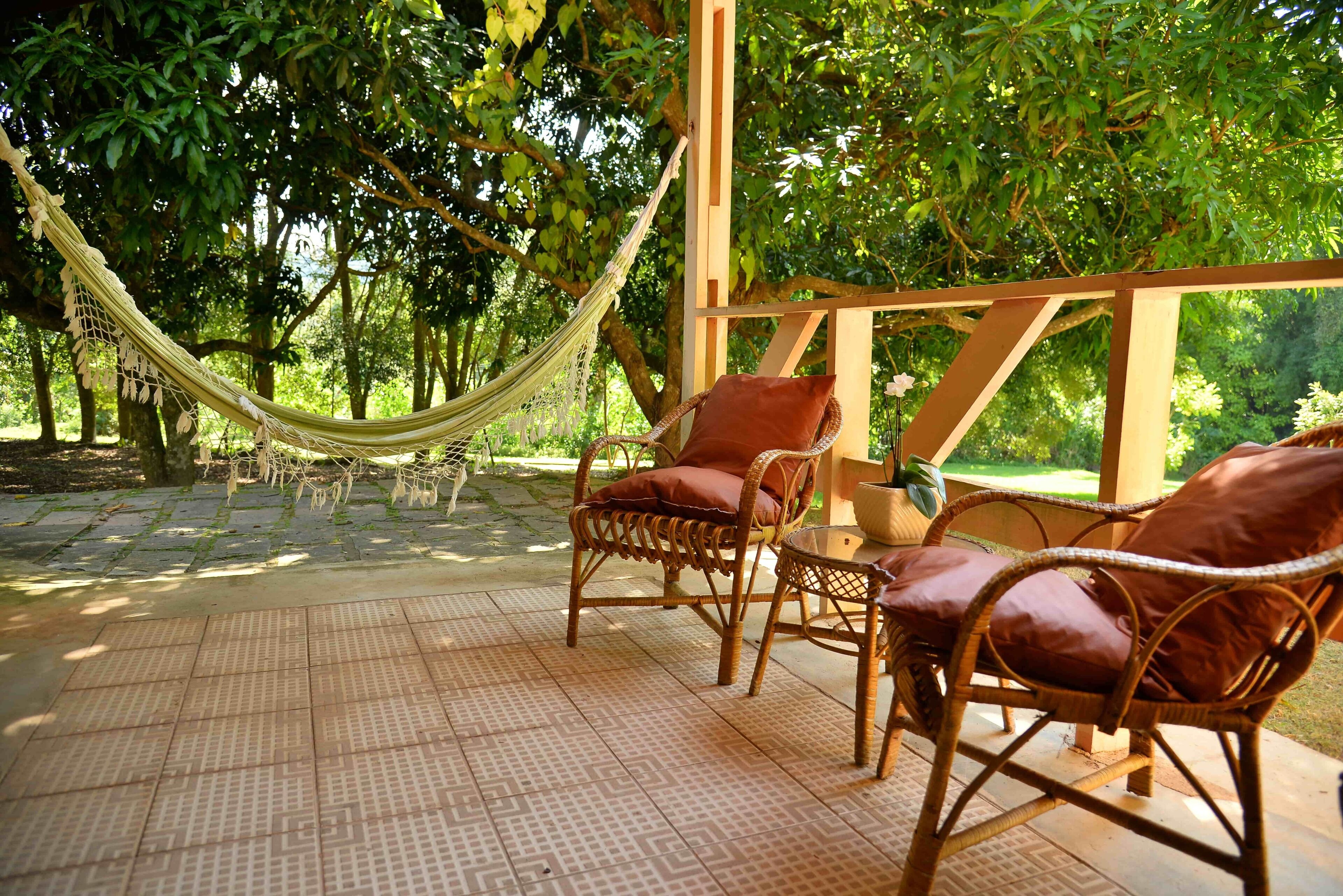 Superior Chalet | Terrace/patio