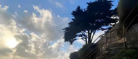 Playa en los alrededores