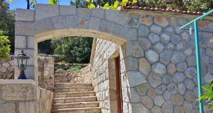 Guest House Hazdovac Apartment