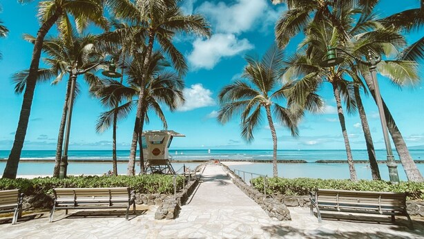 A beach pathway lined with benches, palm trees, and a lifeguard tower. - Gorgeous 2 bdrm presidential unit (Kailua-Kona)