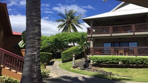 Unclassified image, 4 of 12, button