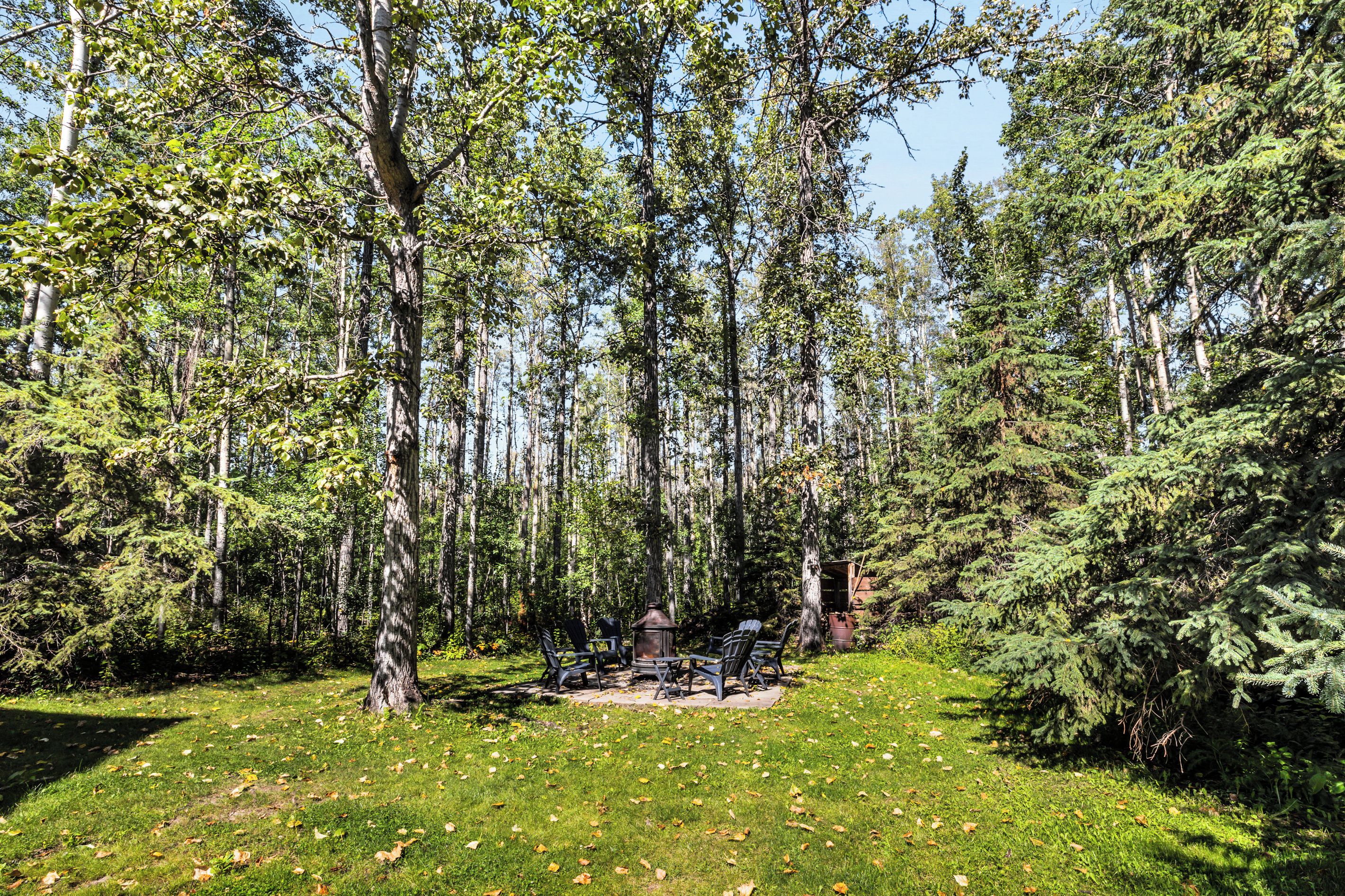 A forested area with a seating arrangement and a lantern.