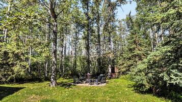 A forested area with a seating arrangement and a lantern.