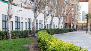 Un patio con un sendero, arbustos cuidados y árboles.