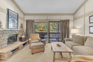 TV, fireplace, DVD player