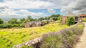 Un paysage rural avec des maisons en pierre, un chemin de gravier et des champs de lavande.