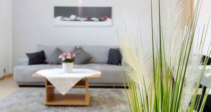 Apartment 'Geiger' with Private Terrace and Wi-Fi