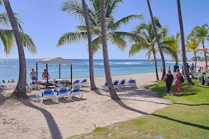 Ein Strand mit Palmen, Liegestühlen und freiem Blick auf den Ozean.