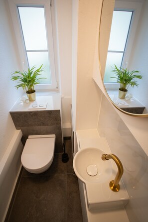 Shower, hair dryer, towels - Charming Holiday Apartment for 2 Guests (Ellwangen (Jagst))