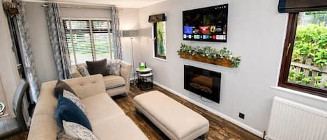 TV
