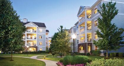 Near Opryland and Gaylord Palms