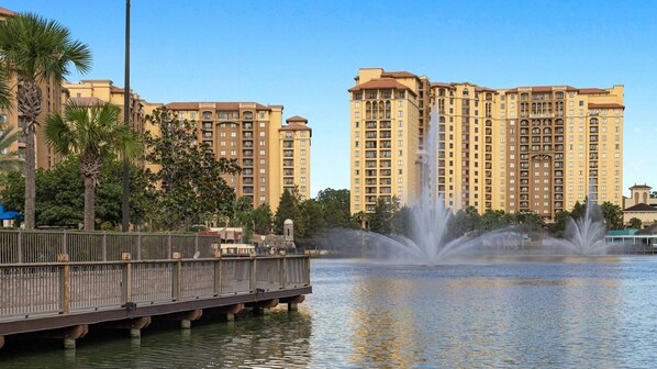 Imagen sin descripción, 1 de 61, botón