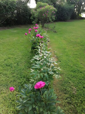 Botón de imagen sin clasificar, 2 de 25