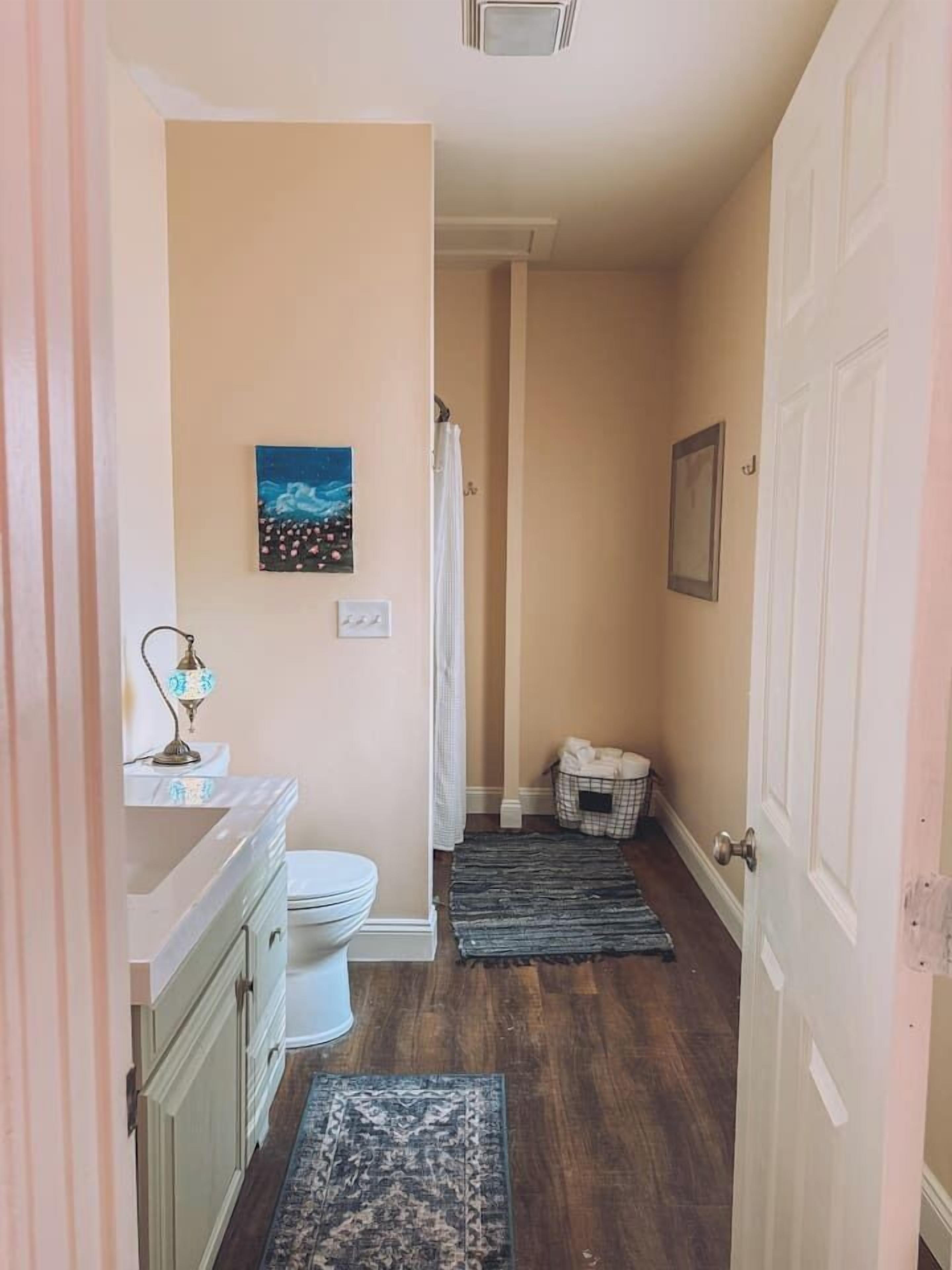 Un couloir étroit avec des toilettes, un lavabo, un tableau accroché au mur et une porte donnant sur une autre pièce.