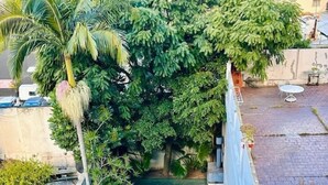 Una piscina rectangular rodeada de abundante vegetación y una palmera.