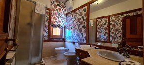 Shower, hair dryer, bidet, towels