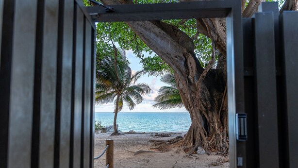 Een open poort die uitkomt op een strand met palmbomen en uitzicht op de oceaan.
